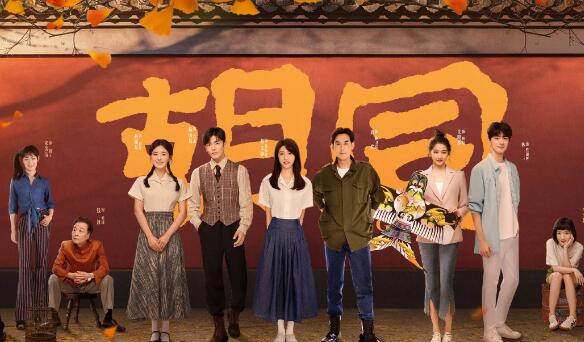 胡同电视剧一共多少集