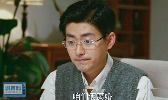 陈宏军和叶芳为什么离婚