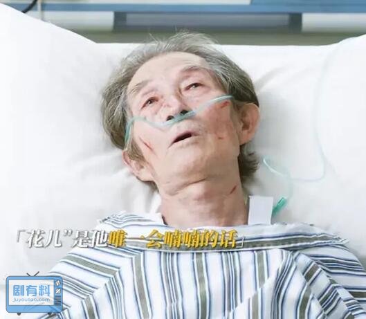 问心花儿老爷子找到家人了吗