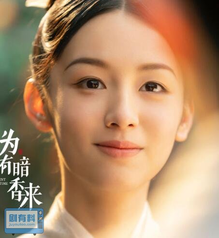 为有暗香来大结局是be还是he