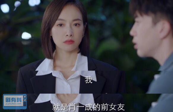 我们的翻译官林西和程耀什么关系