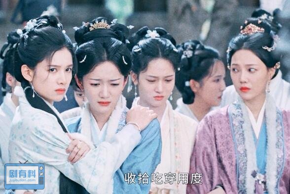 惜花芷的人物关系介绍