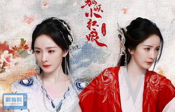 狐妖小红娘月红篇有苏苏吗