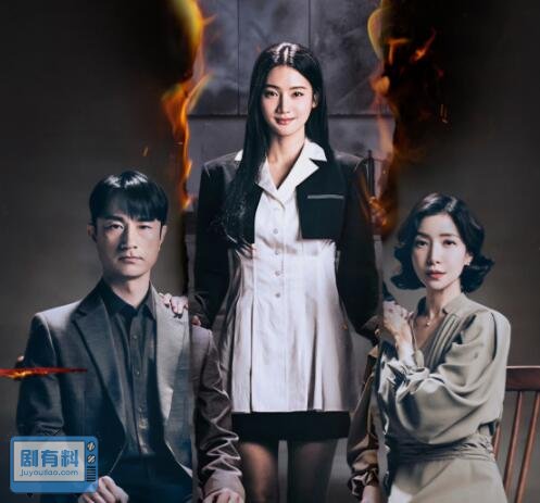 完美的家族韩剧讲的什么